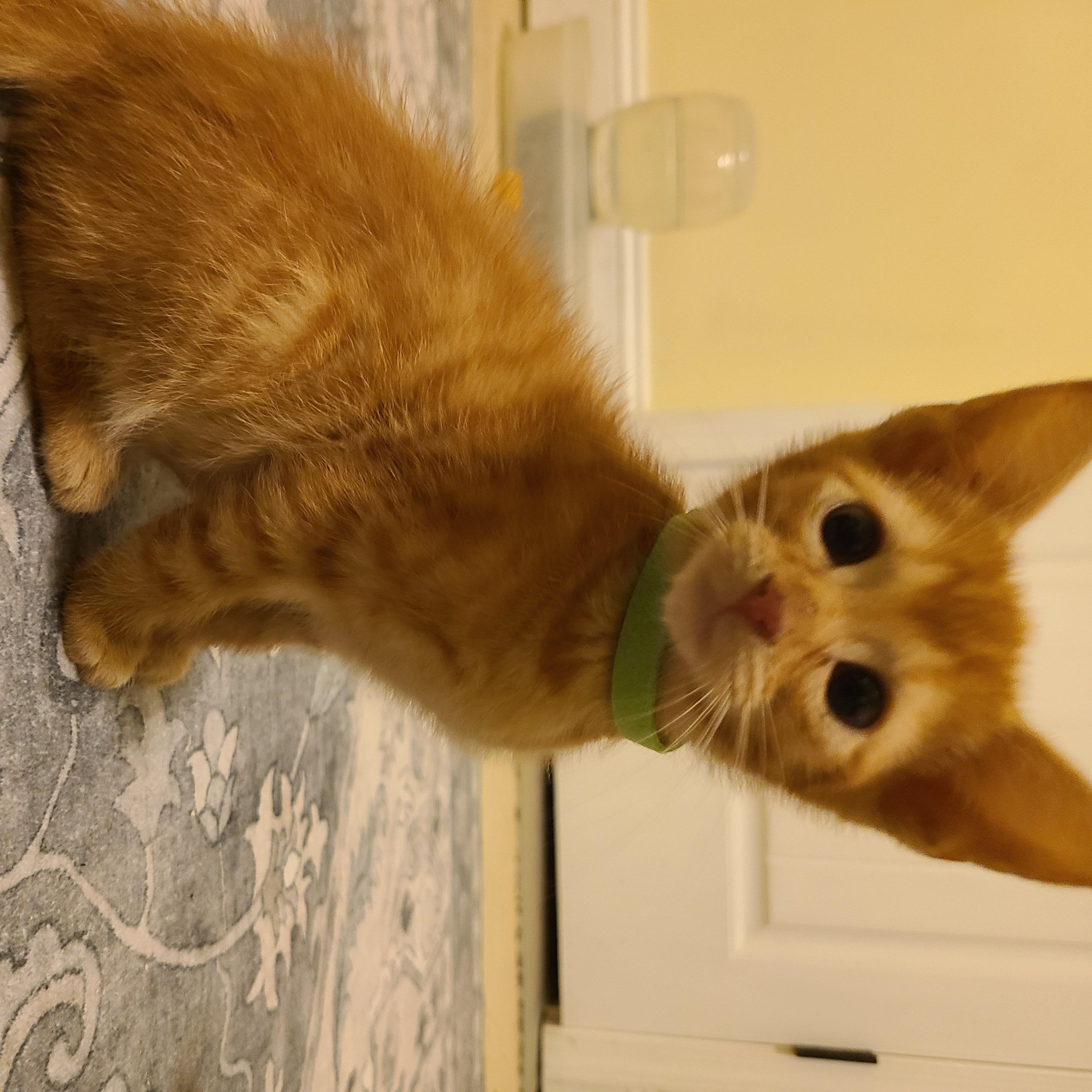 Racketeering - Winterville, GA