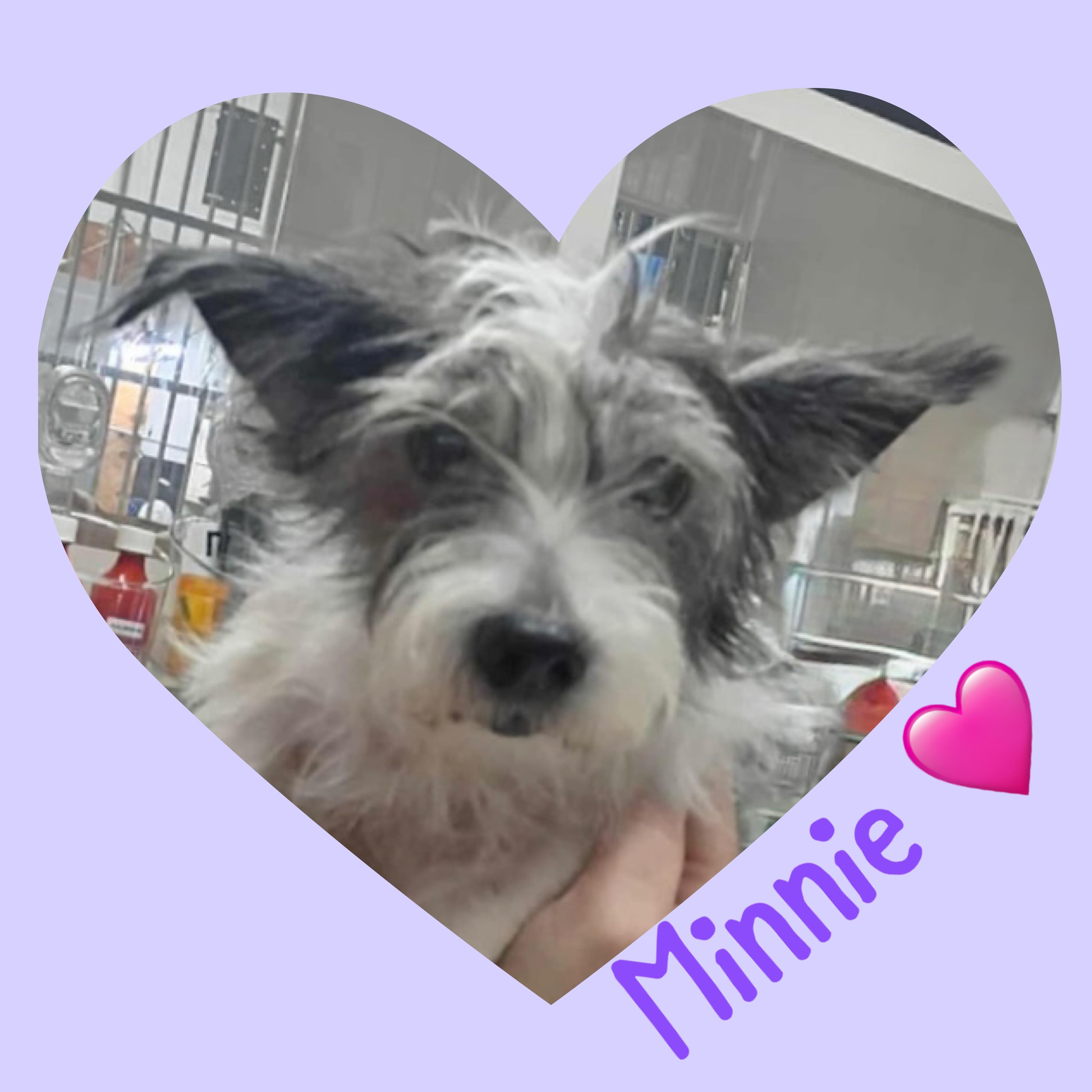 Minnie