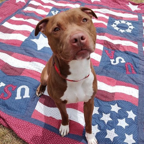 Dallas