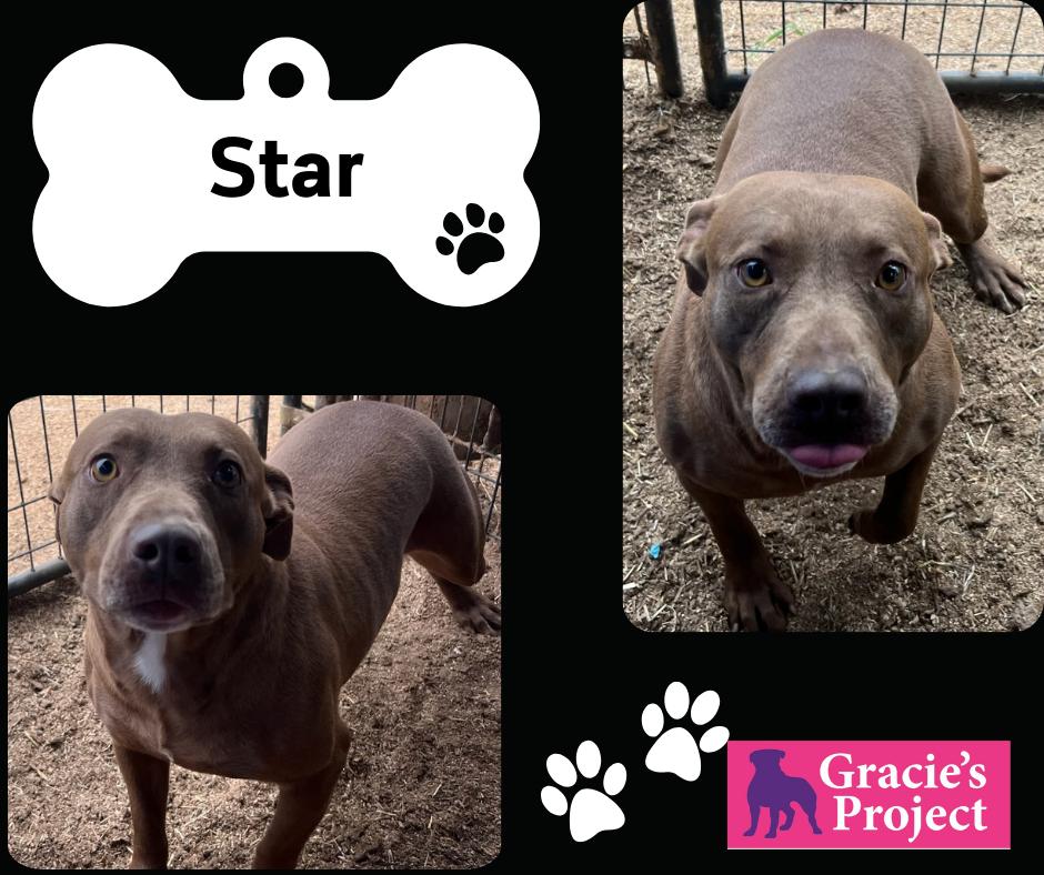 Star — thumbnail 3