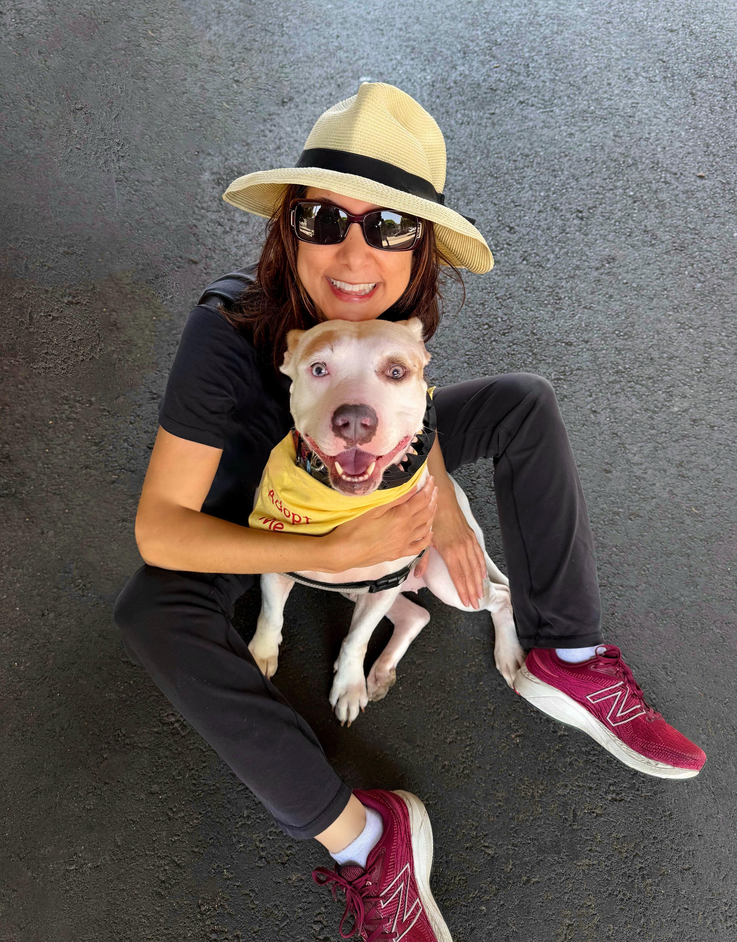 Enlarge Leilani  *COURTESY POST*, a Adoptable mixed breed in Los Angeles, CA image 4/4