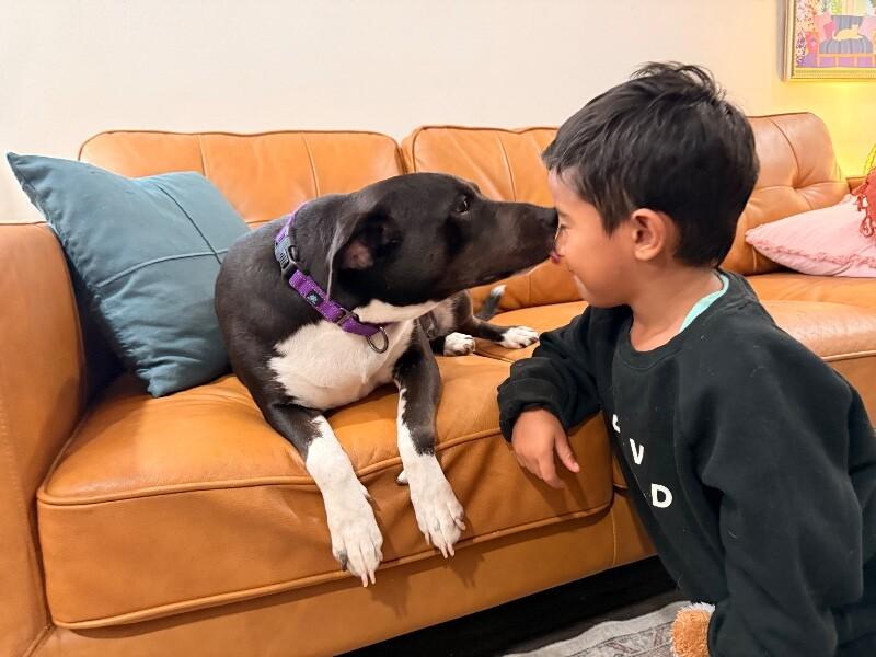 Toasty Buttercup the Cozy Couch Princess