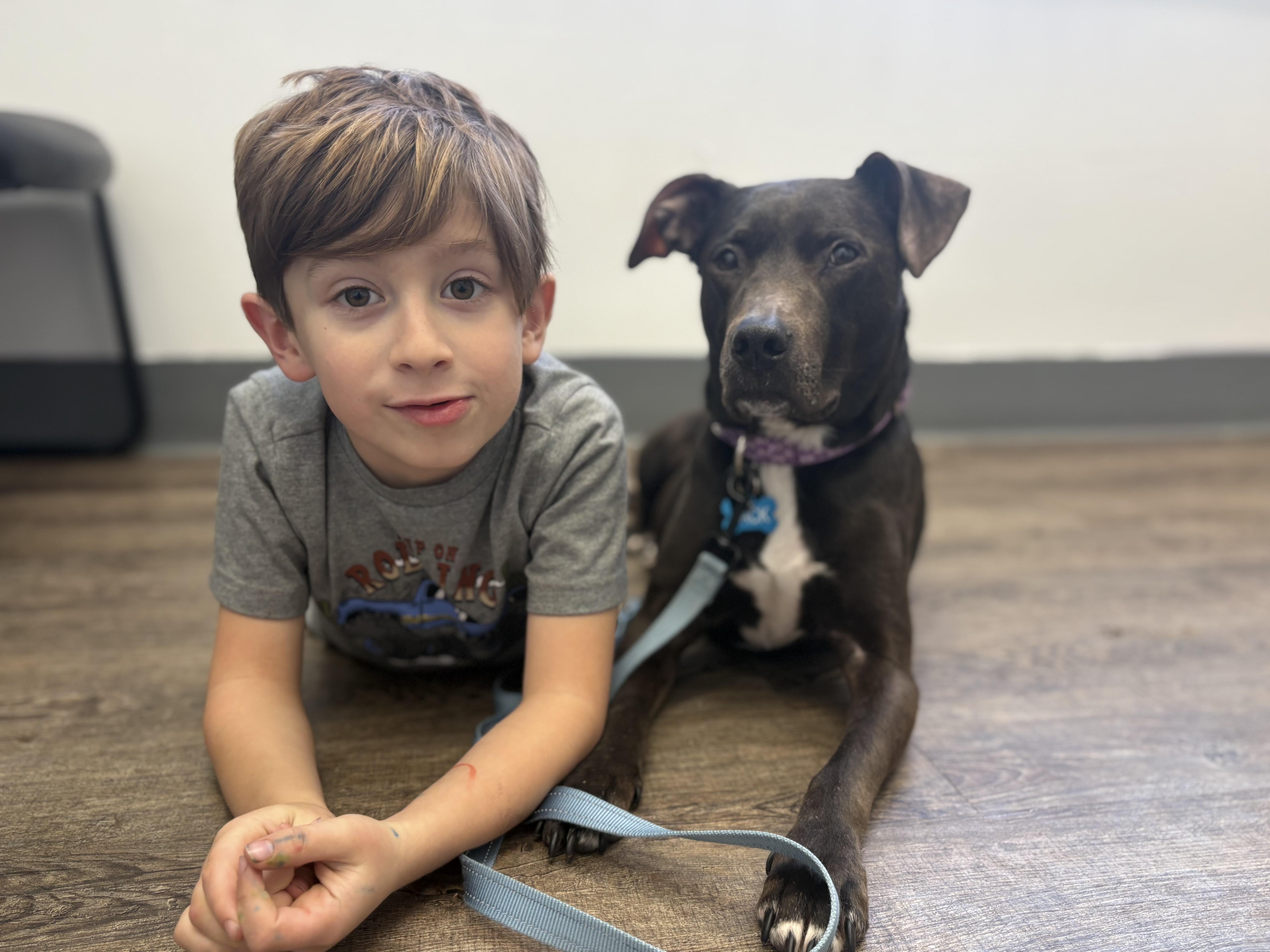 Enlarge Sage, a Adoptable mixed breed in Olympia, WA image 3/6