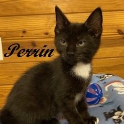Perrin
