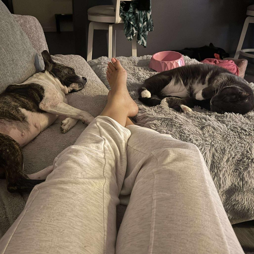 Maw, Adoptable, Adult Female Mixed Breed.