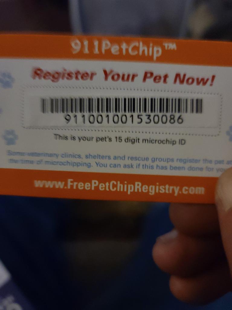 Gara, a Adopted mixed breed in Fort Stockton, TX image 2/2