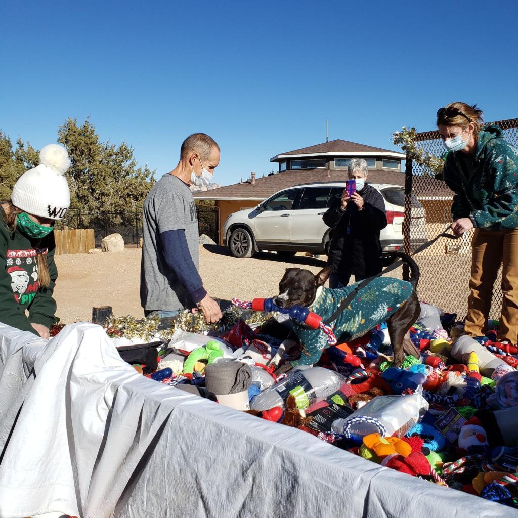 Tequila Rose — thumbnail 2