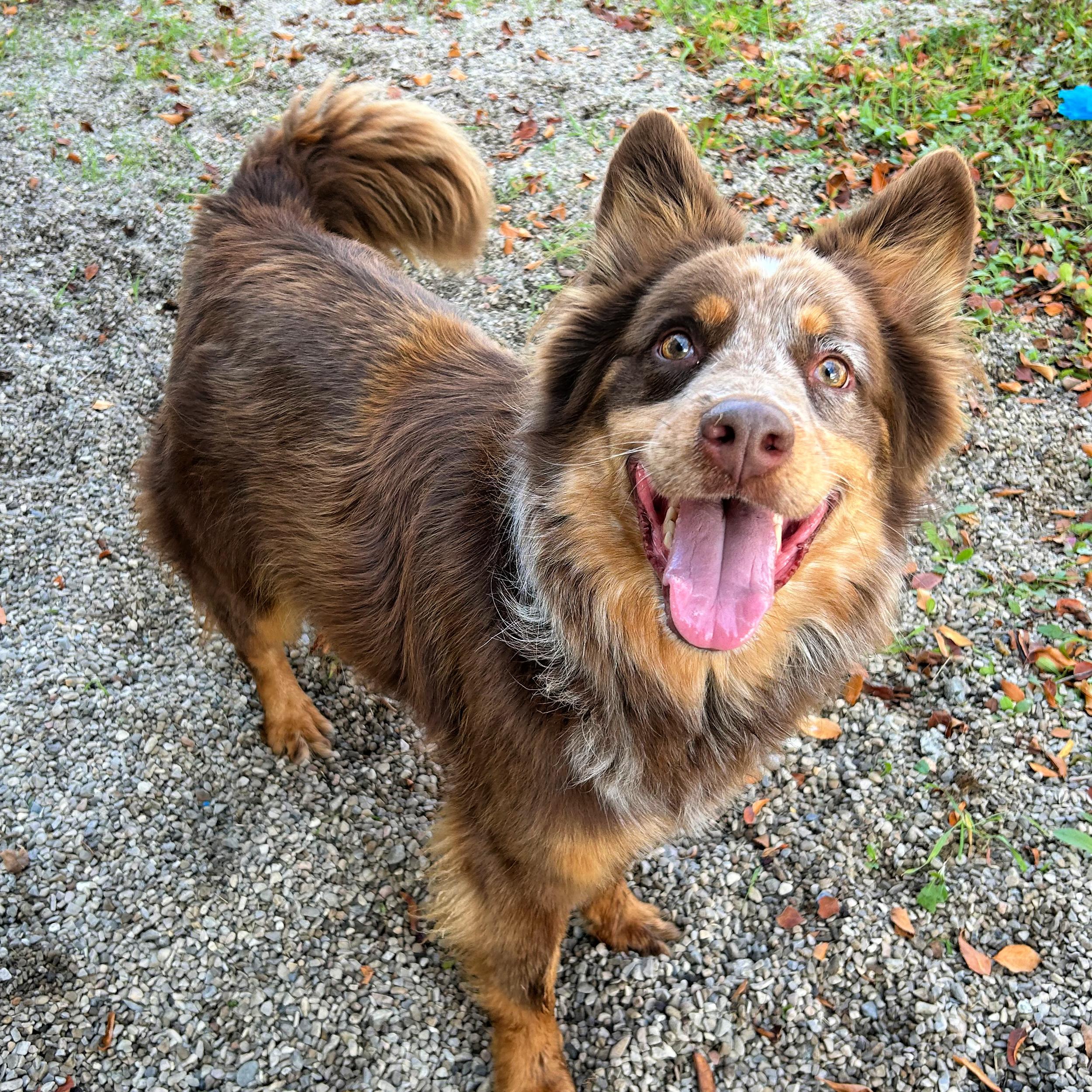 Luca