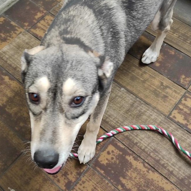 Leah — thumbnail 2