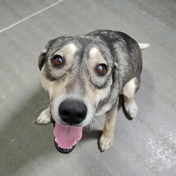 Leah — thumbnail 3