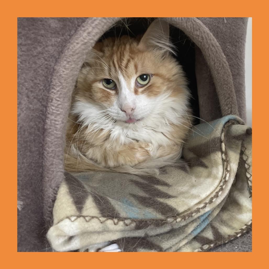 Routy — thumbnail 2