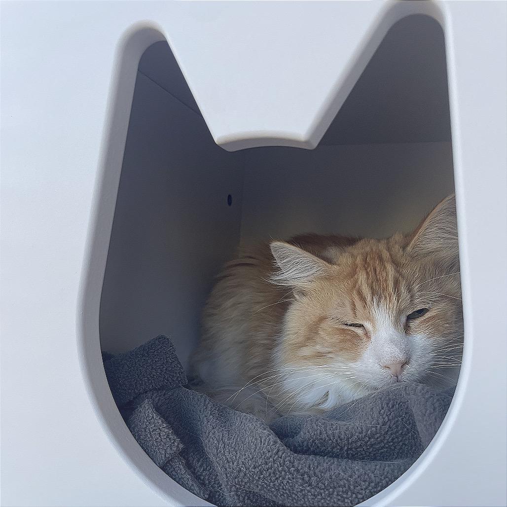 Routy — thumbnail 3