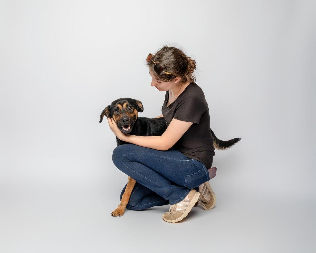 Glorfindel, a Adoptable mixed breed in Rockport, TX image 3/5