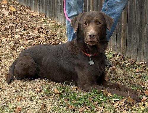 Ares — thumbnail 3