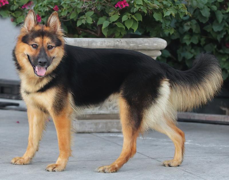 Francesca Von Falera thumbnail 5