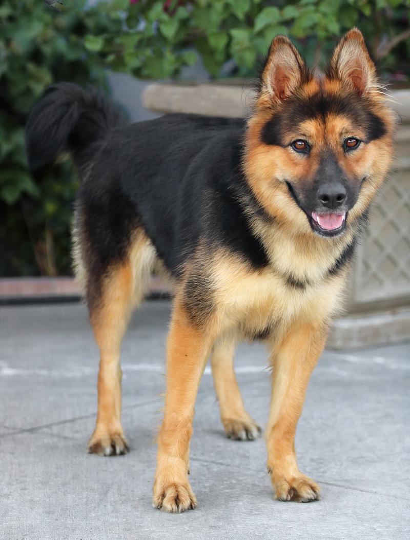 Francesca Von Falera thumbnail 4