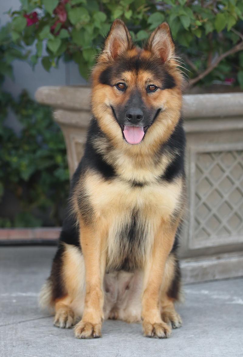 Francesca Von Falera thumbnail 3