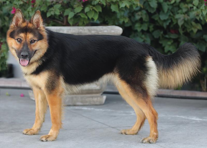 Francesca Von Falera thumbnail 6