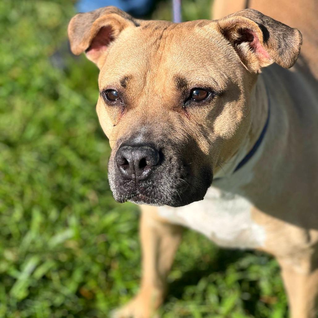 Michael — thumbnail 5