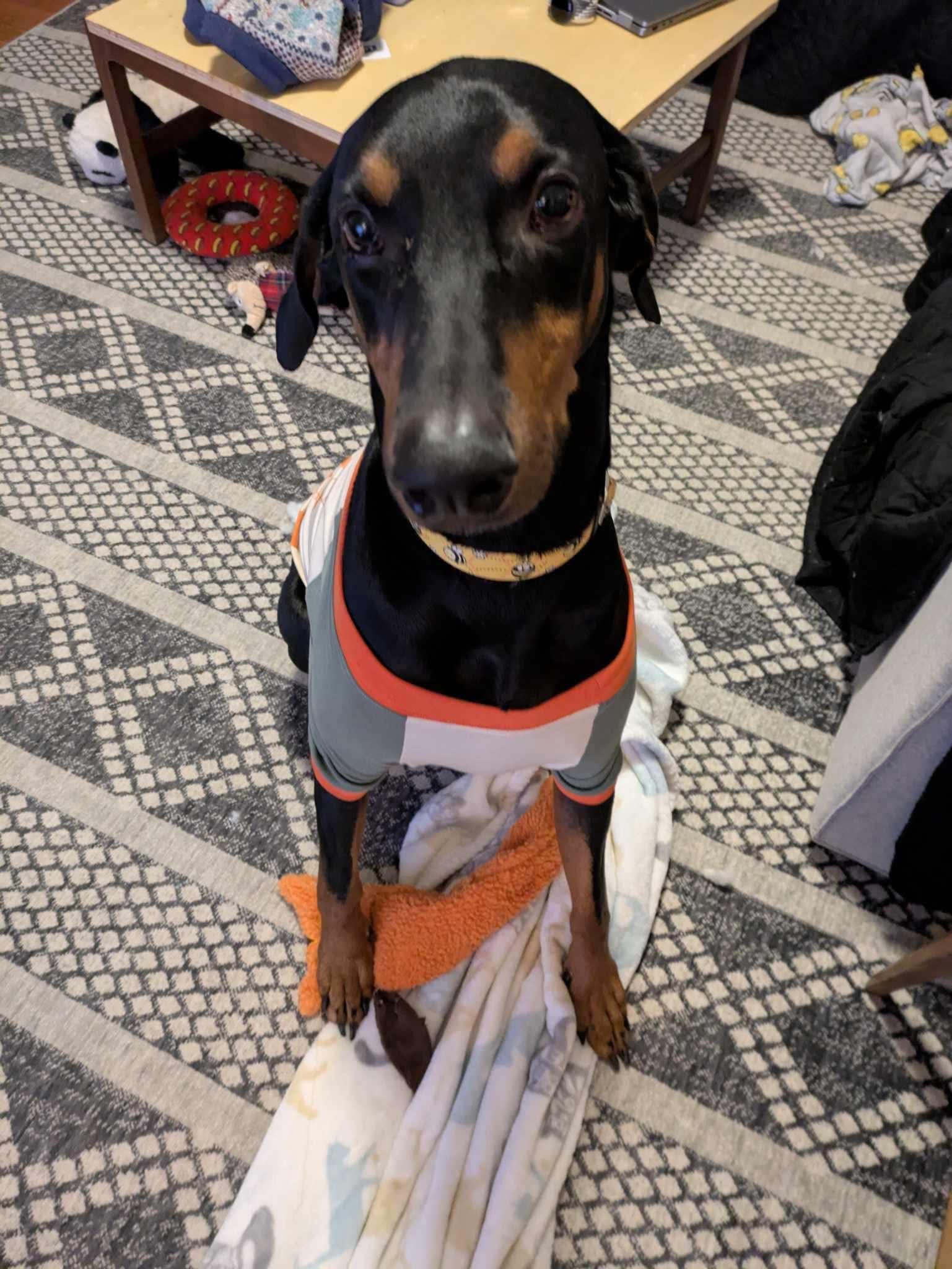 Kobie 2