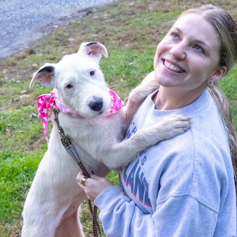 Enlarge Marley (Female) Avail 10/24, a Adoptable mixed breed in West Grove, PA image 4/6