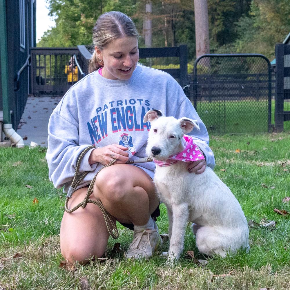 Enlarge Marley (Female) Avail 10/24, a Adoptable mixed breed in West Grove, PA image 2/6