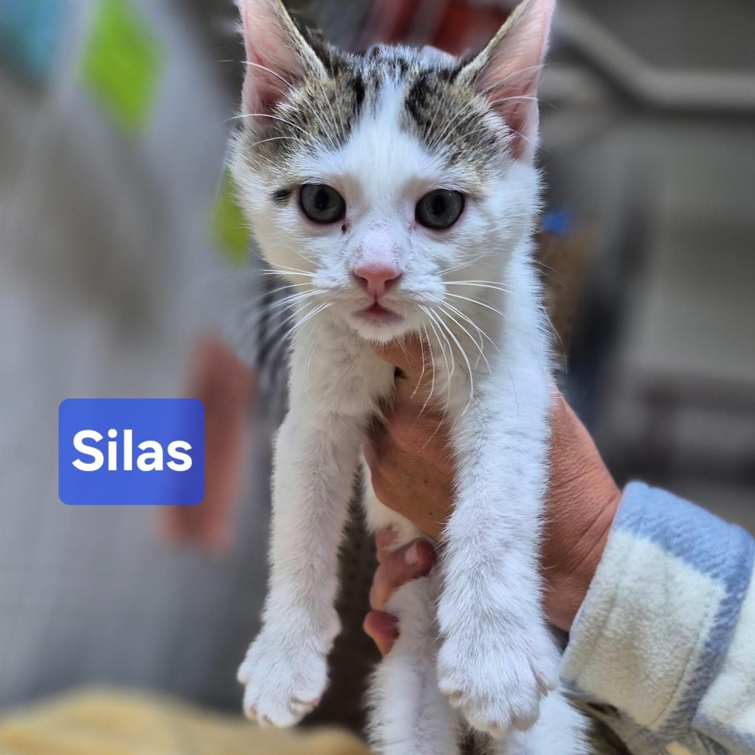 Silas