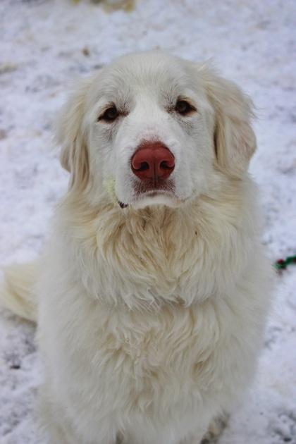 Lexi — thumbnail 2