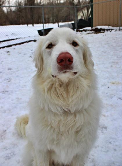 Lexi — thumbnail 3