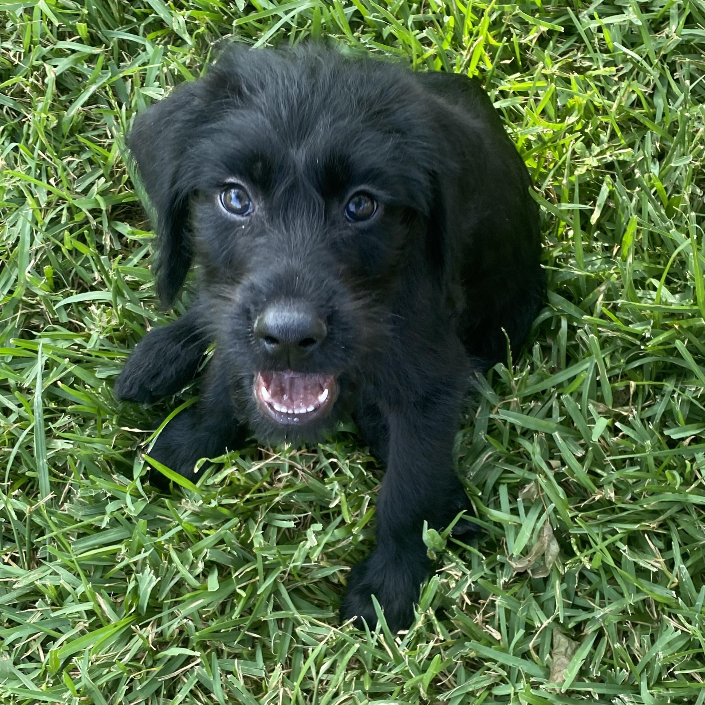 George photo 4