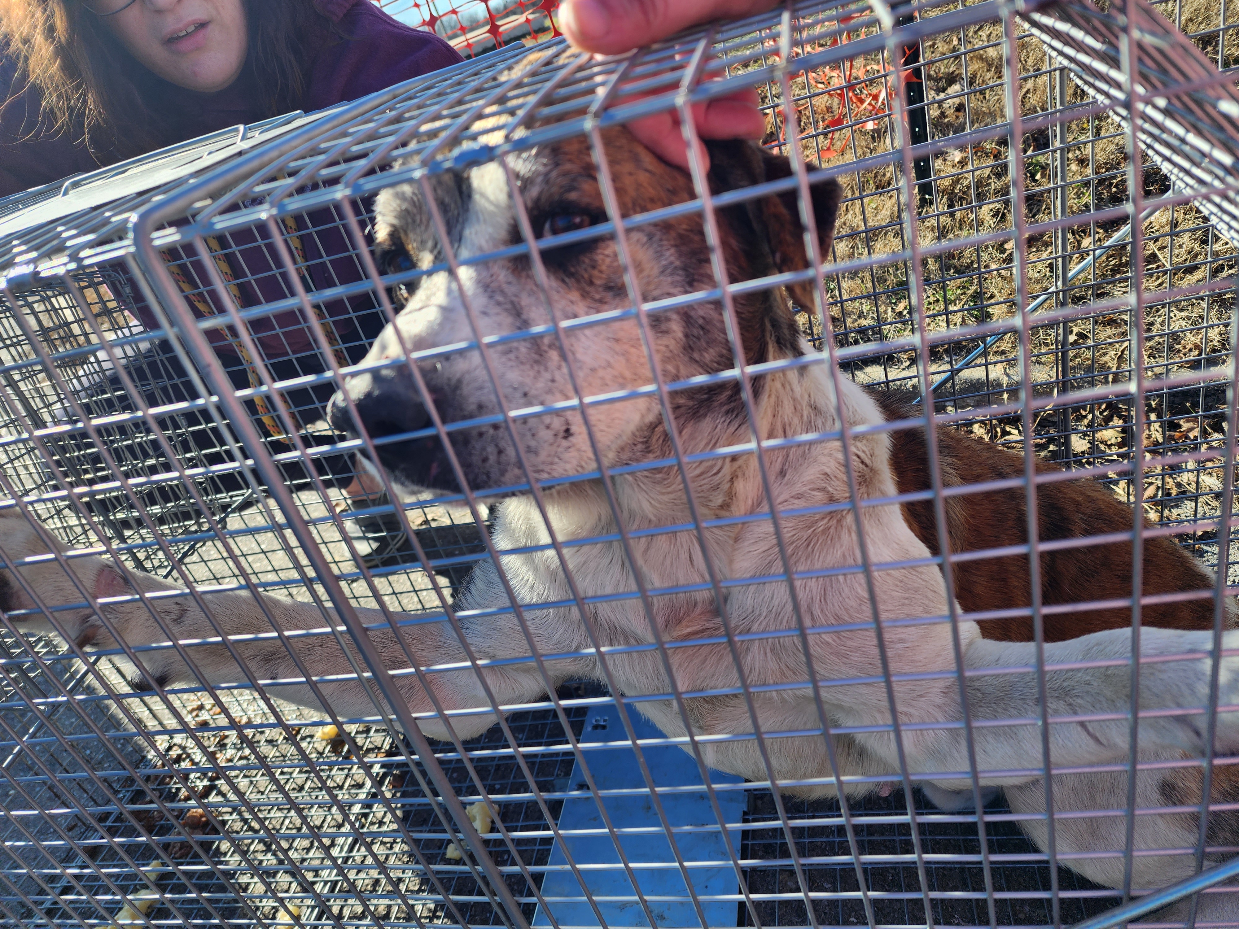 FORD — thumbnail 3