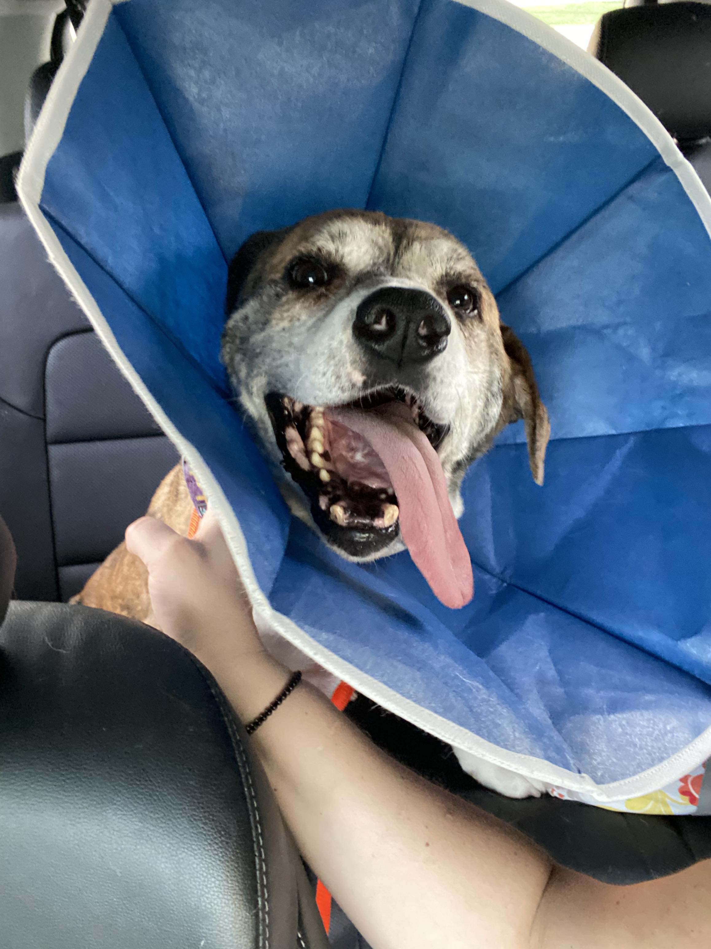 FORD — thumbnail 6