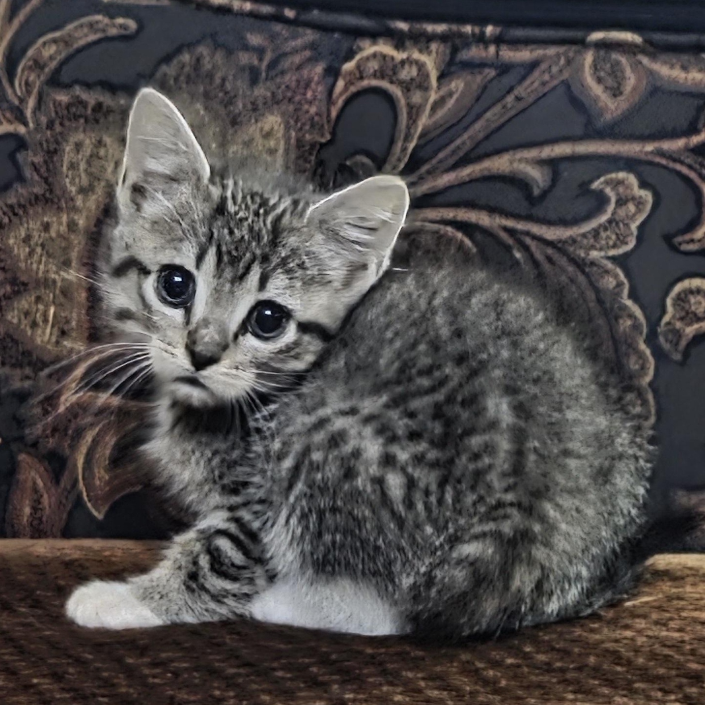 Meatball
