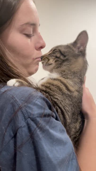 Enlarge Max (loves being held), an adopted mixed breed in Newnan, GA video 5/5