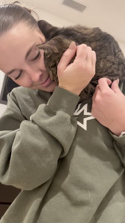 Enlarge Max (SO sweet- video included), a ADOPTABLE mixed breed in Atlanta, GA video 5/5