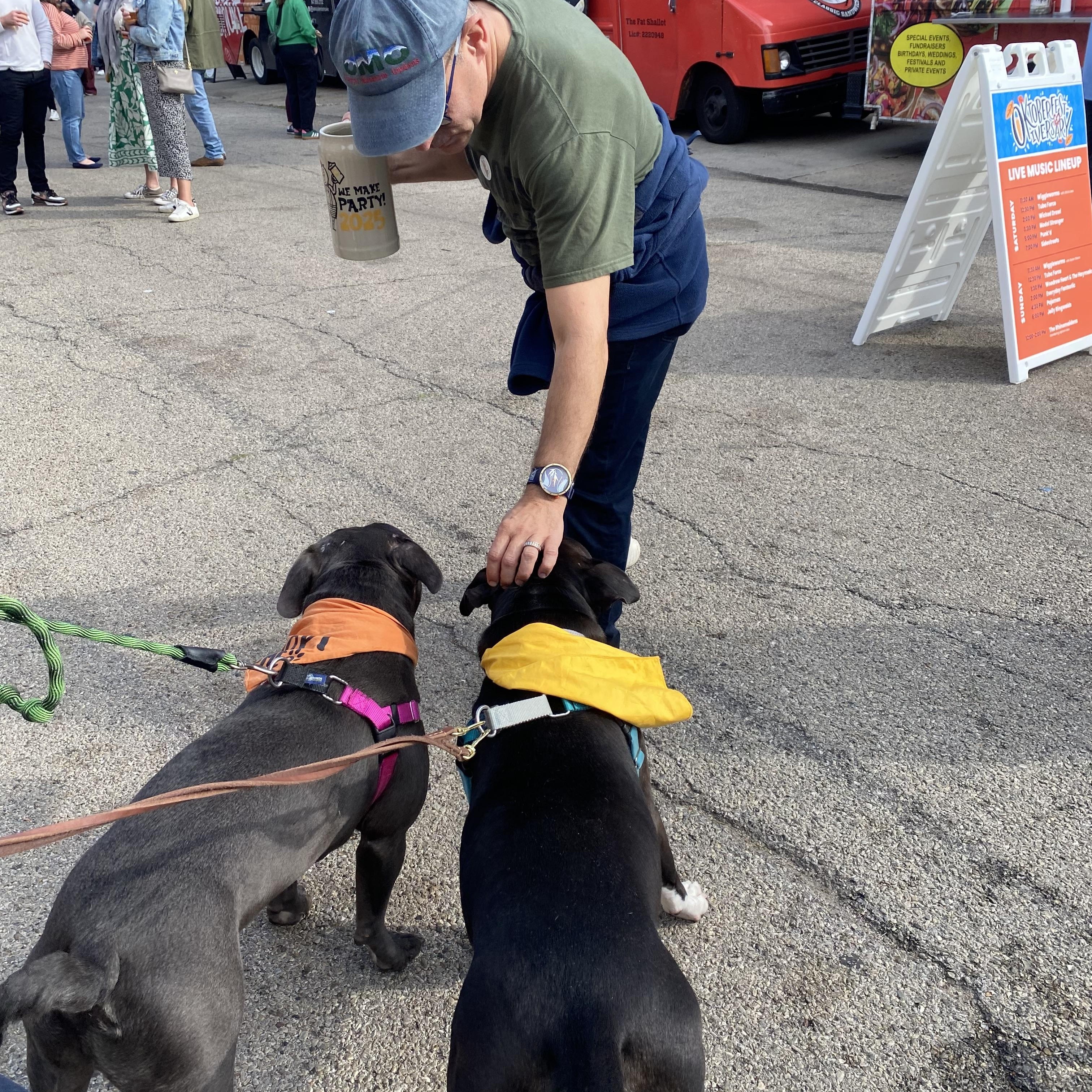Maple Mae, a Adoptable Pit Bull Terrier in Chicago, IL image 2/6