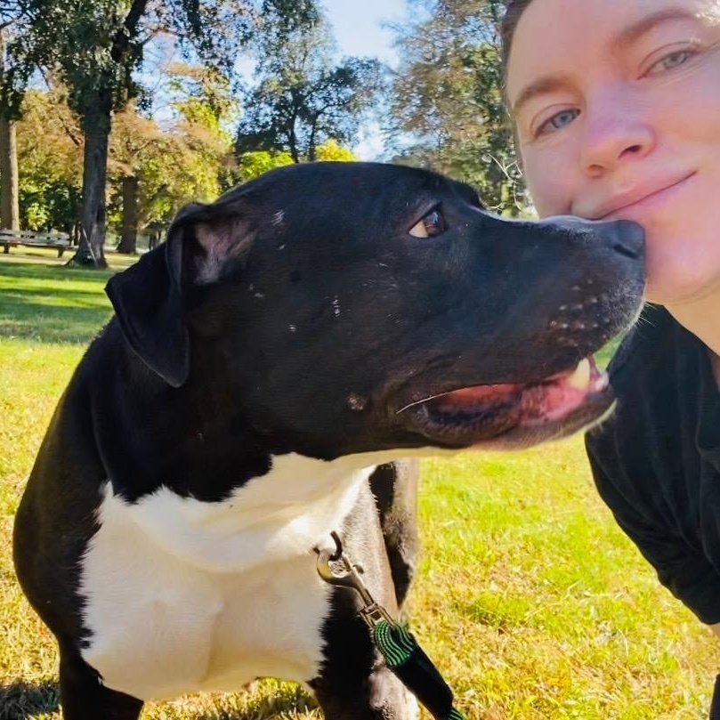 Maple Mae, a Adoptable Pit Bull Terrier in Chicago, IL image 5/6