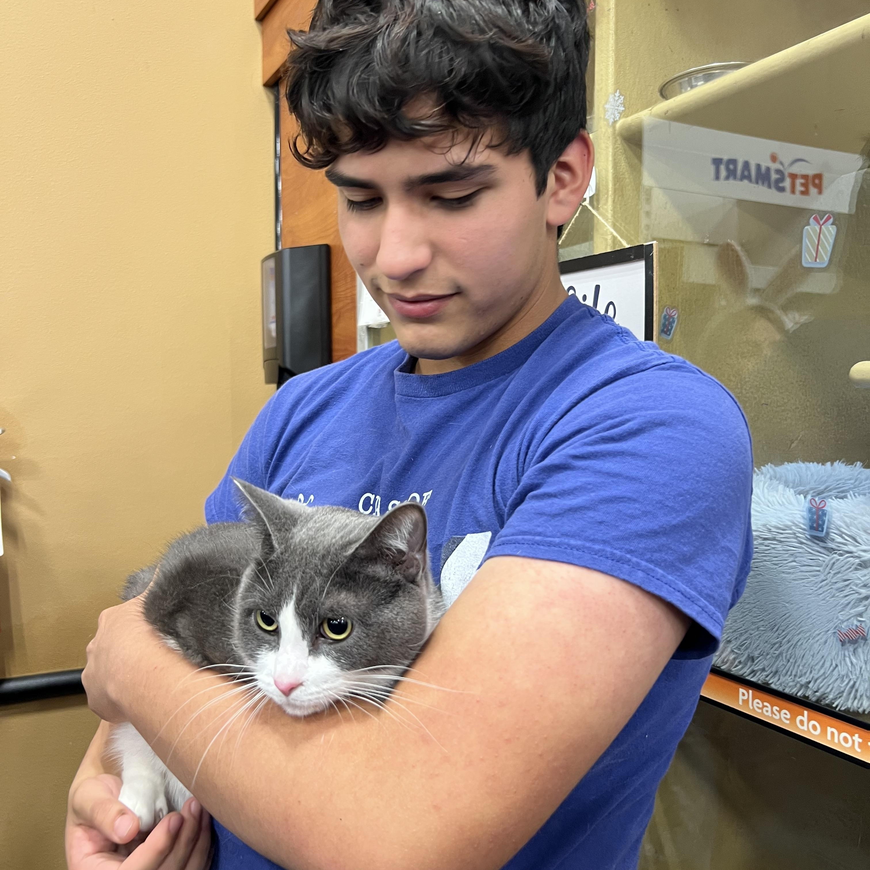 Sophie, a ADOPTABLE mixed breed in Kissimmee, FL image 3/5