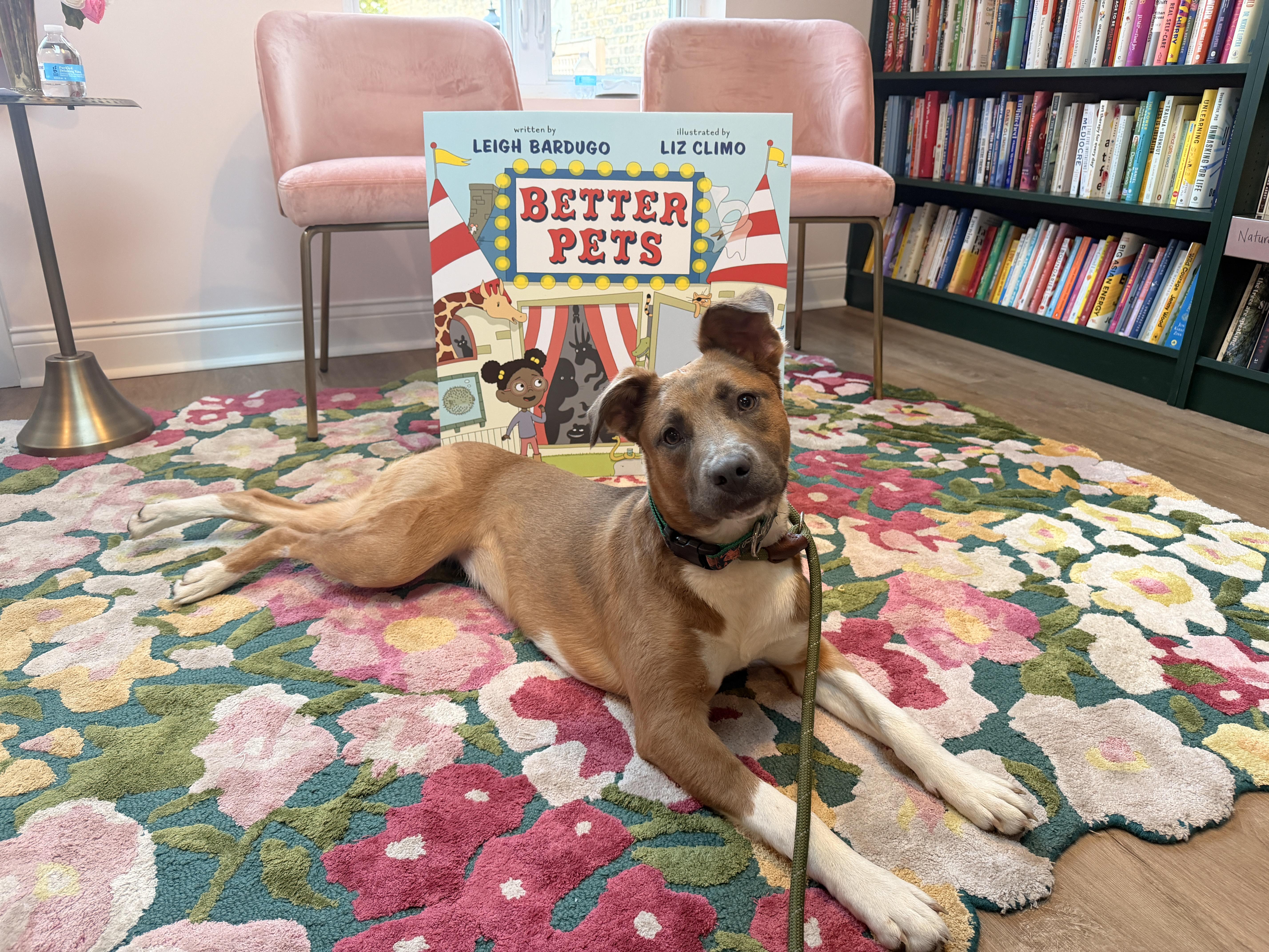 Artemis, a ADOPTABLE mixed breed in Chicago, IL image 1/5