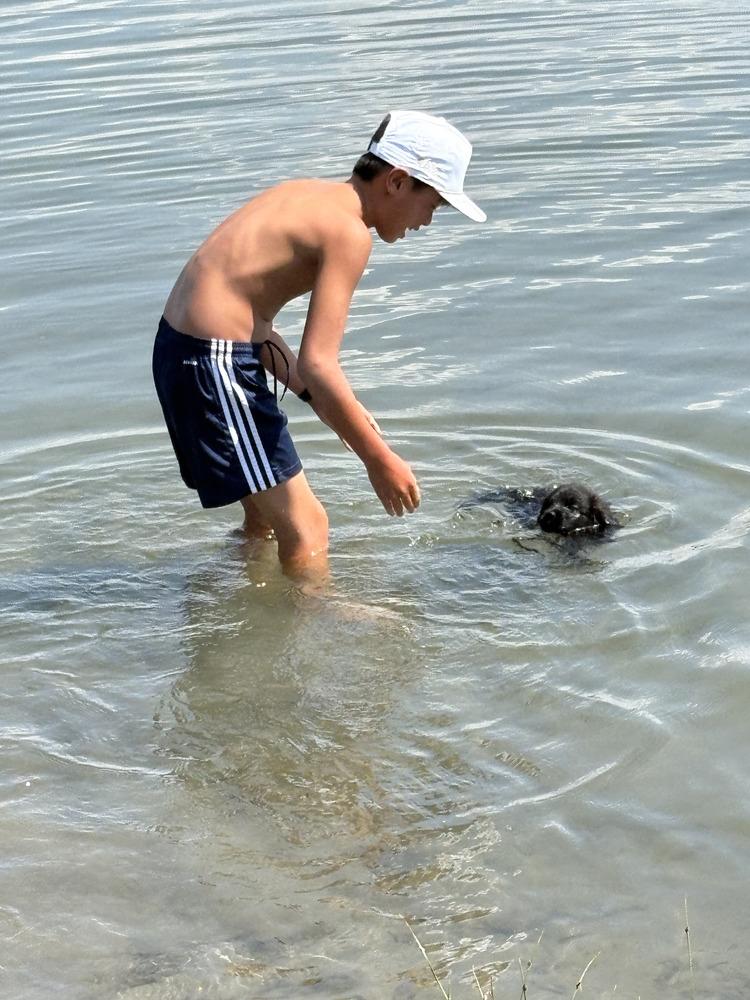 Enlarge Huntington Beach / Milky Way/ Charlie, a Adopted mixed breed in Broomfield, CO image 5/6