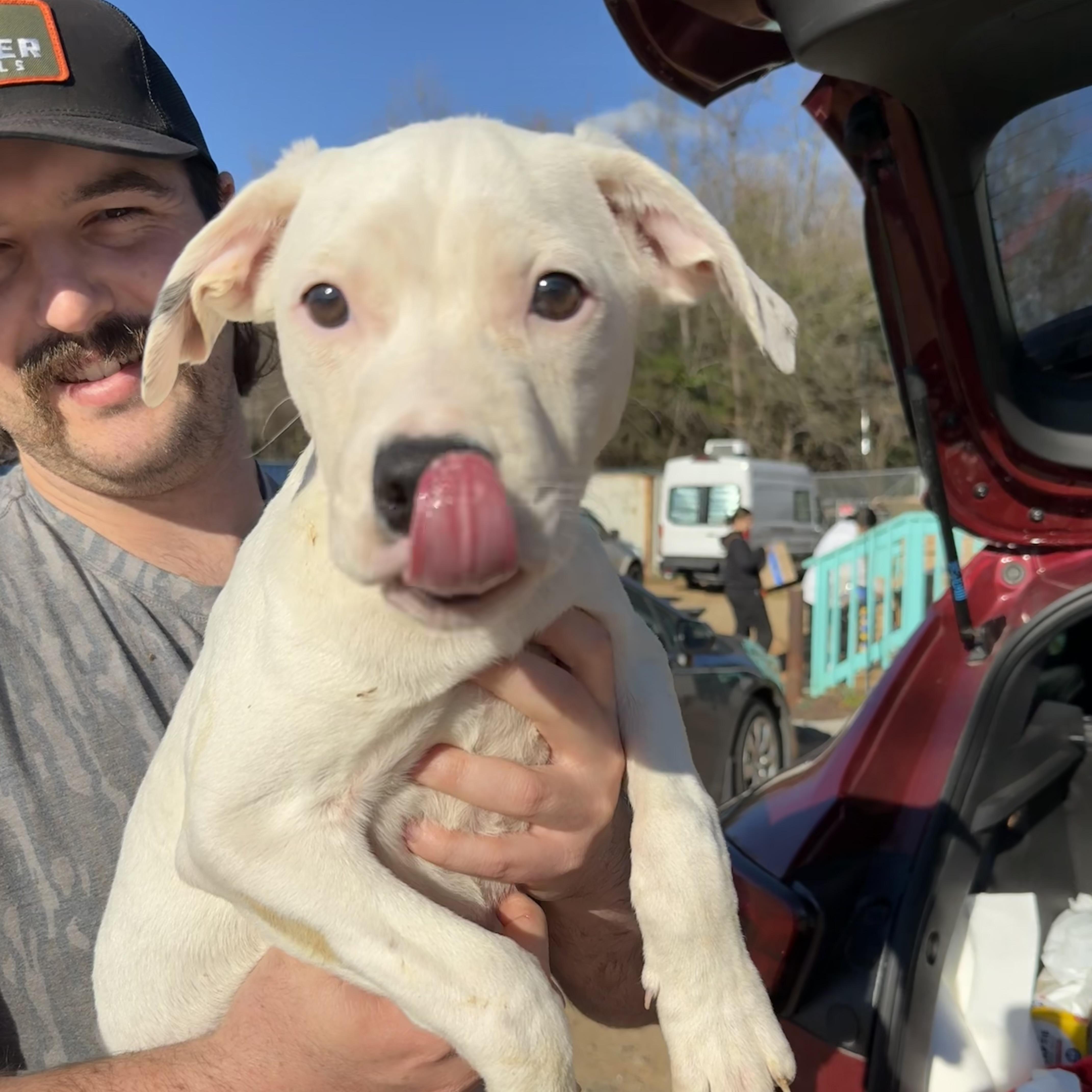 Electrolytes — thumbnail 5