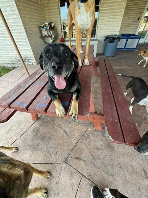 LUCKY — thumbnail 2