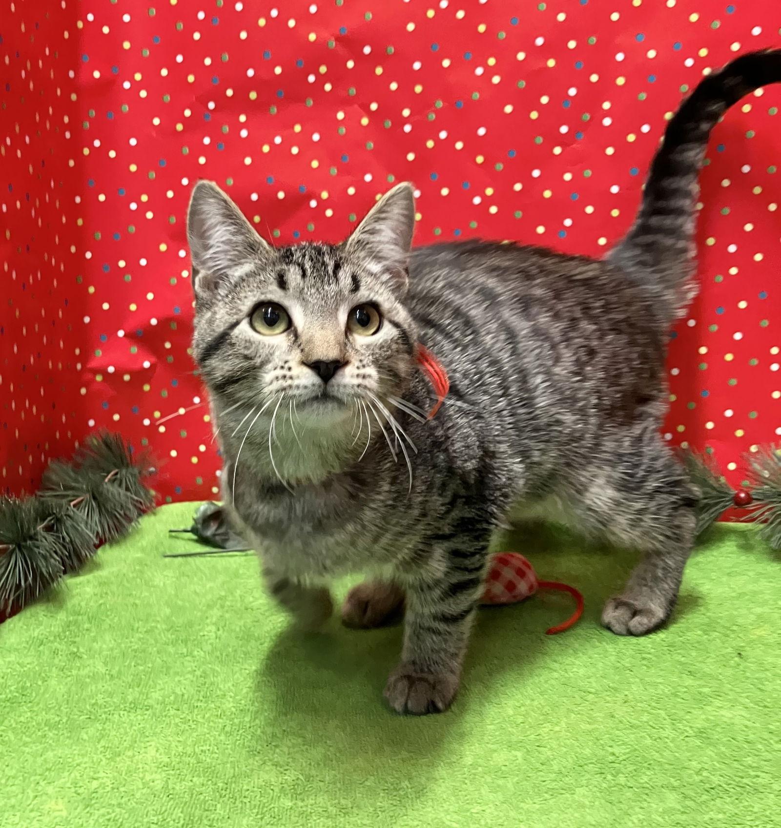 Tammy Wynette thumbnail 4