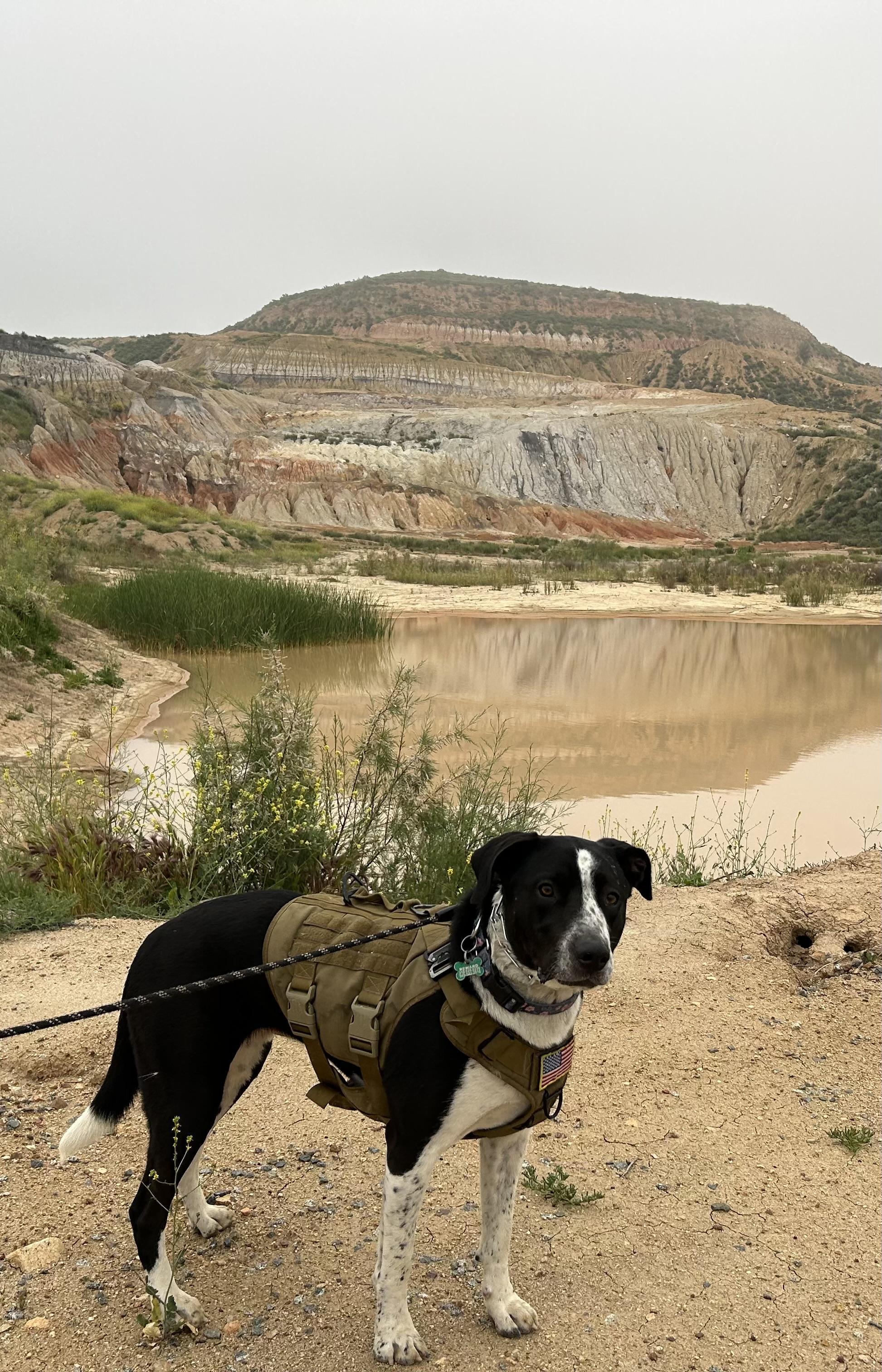 Lola~ Pro Trained And thumbnail 3