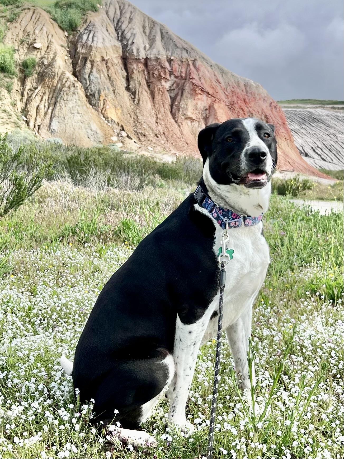 Lola~ Pro Trained And thumbnail 2