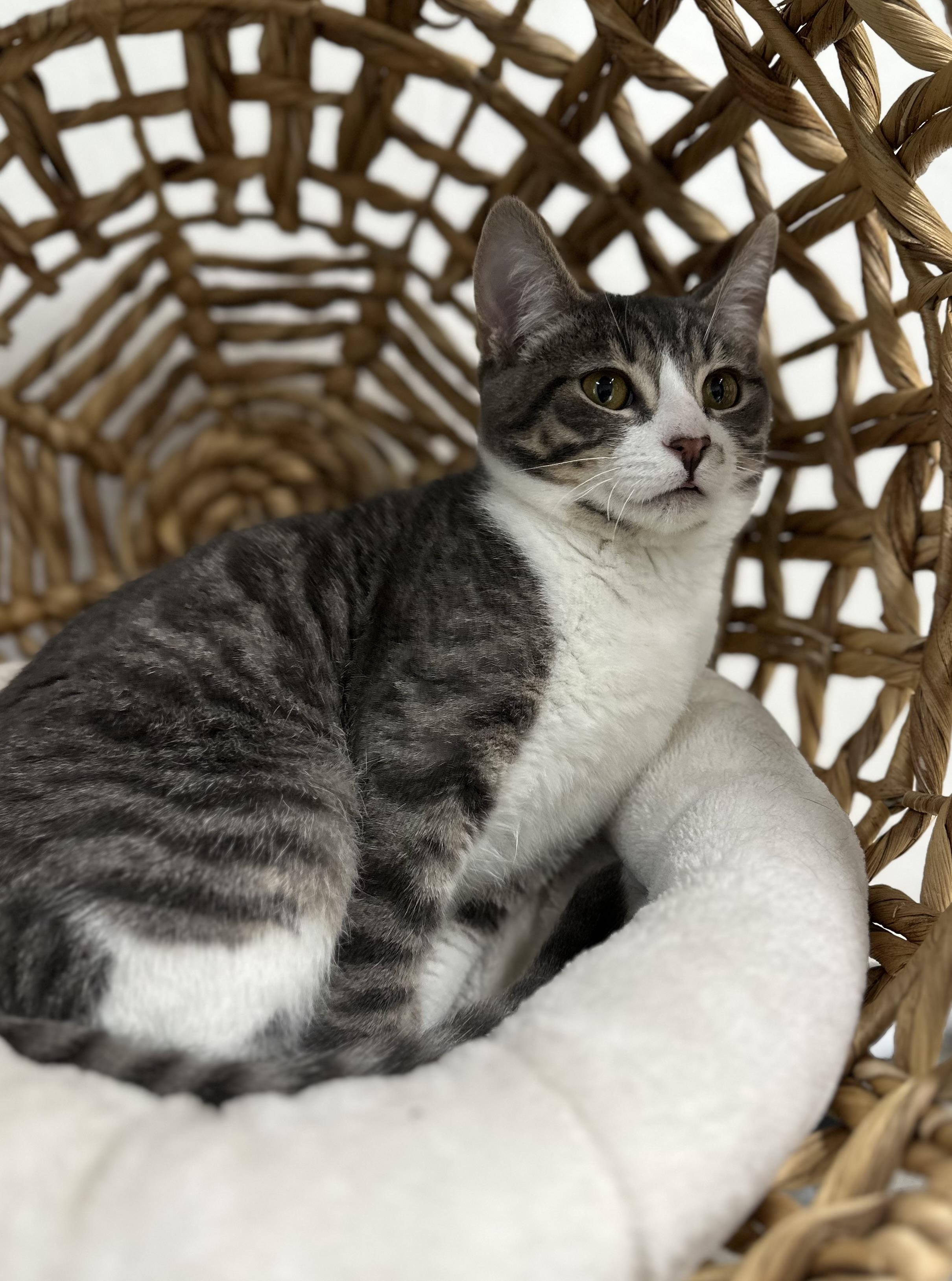 Steven 0125 — thumbnail 2