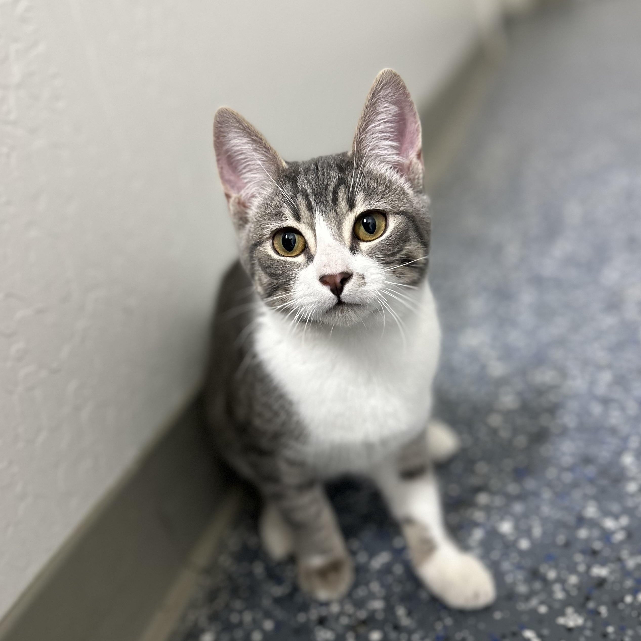 Steven 0125 — thumbnail 3