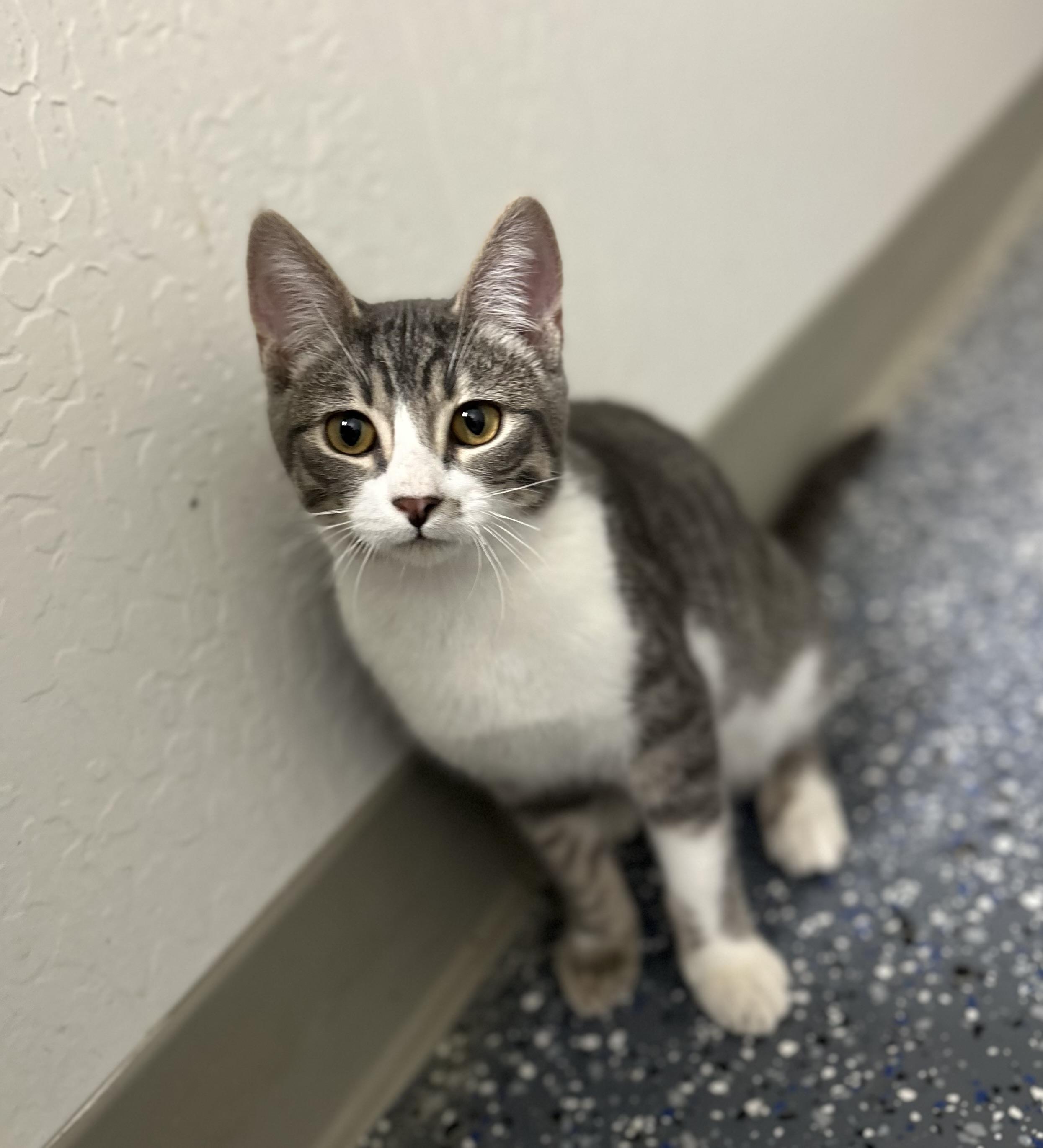 Steven 0125 — thumbnail 4