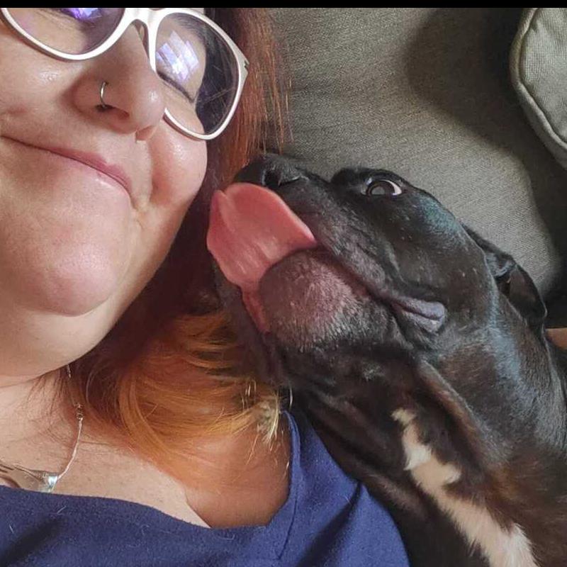 Enlarge Chyna -, a Adoptable mixed breed in Caldwell, NJ image 2/3