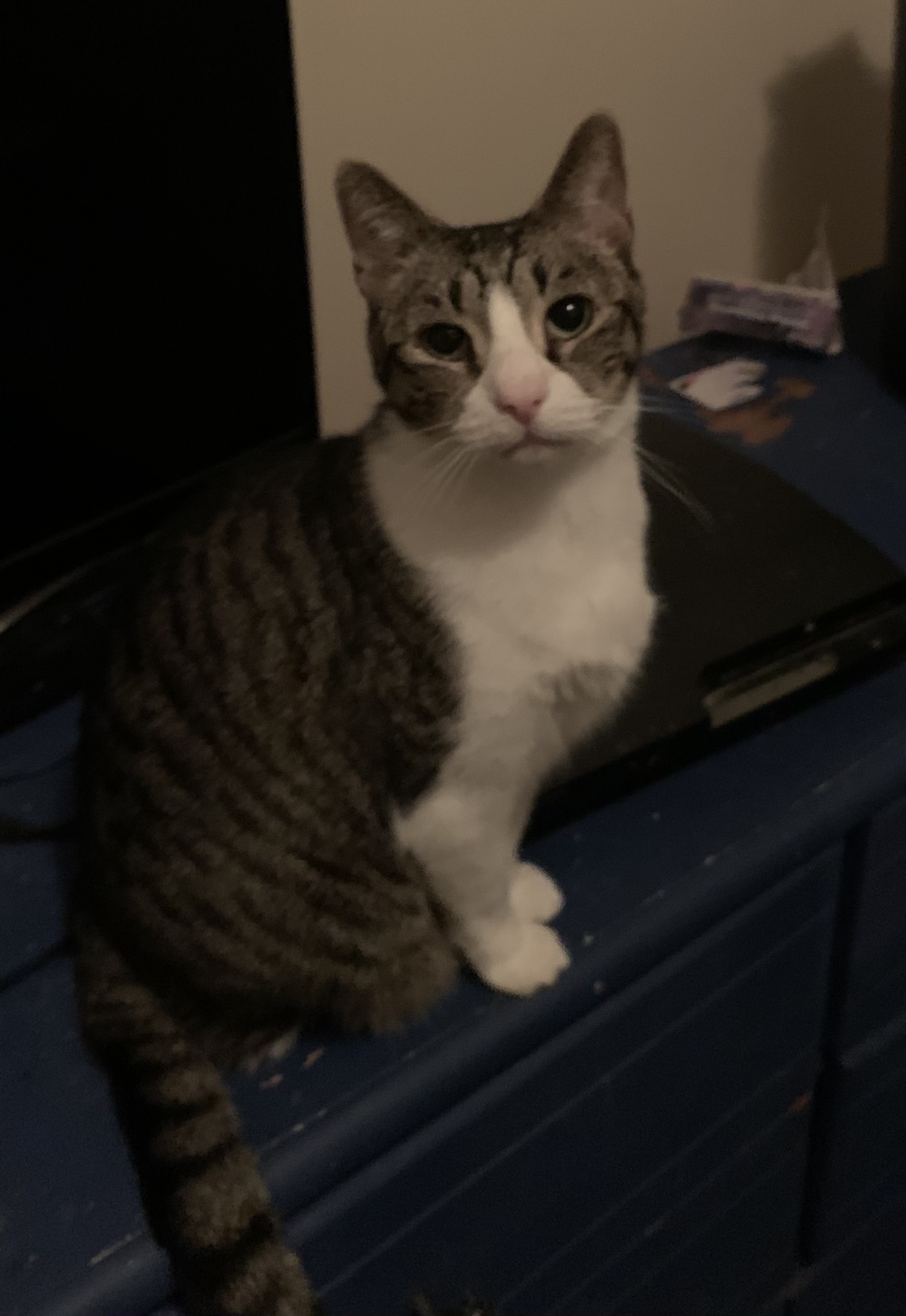 Pete
